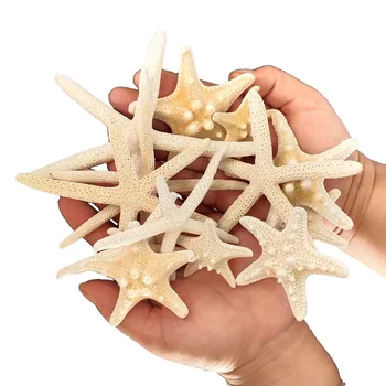 10stk 5-8cm naturlige søstjerner middelhavsstil DIY Kunstige sea star shell Party Bryllup home decor kunsthåndværk hvid